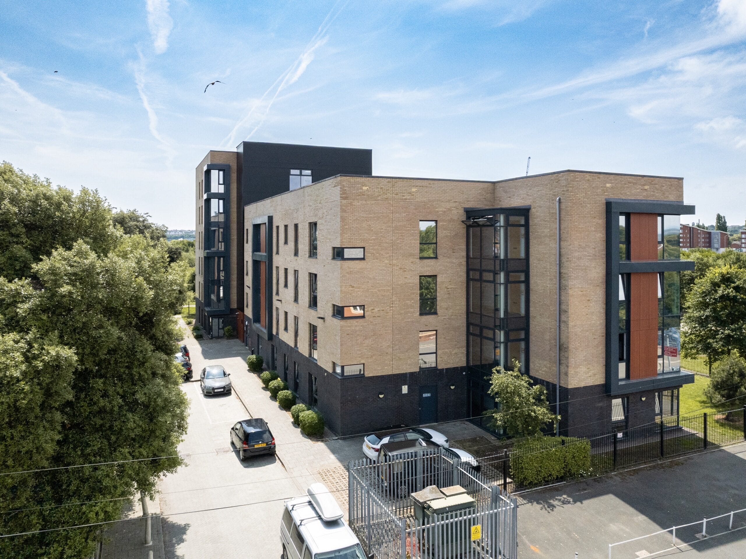 hamadryad court 01